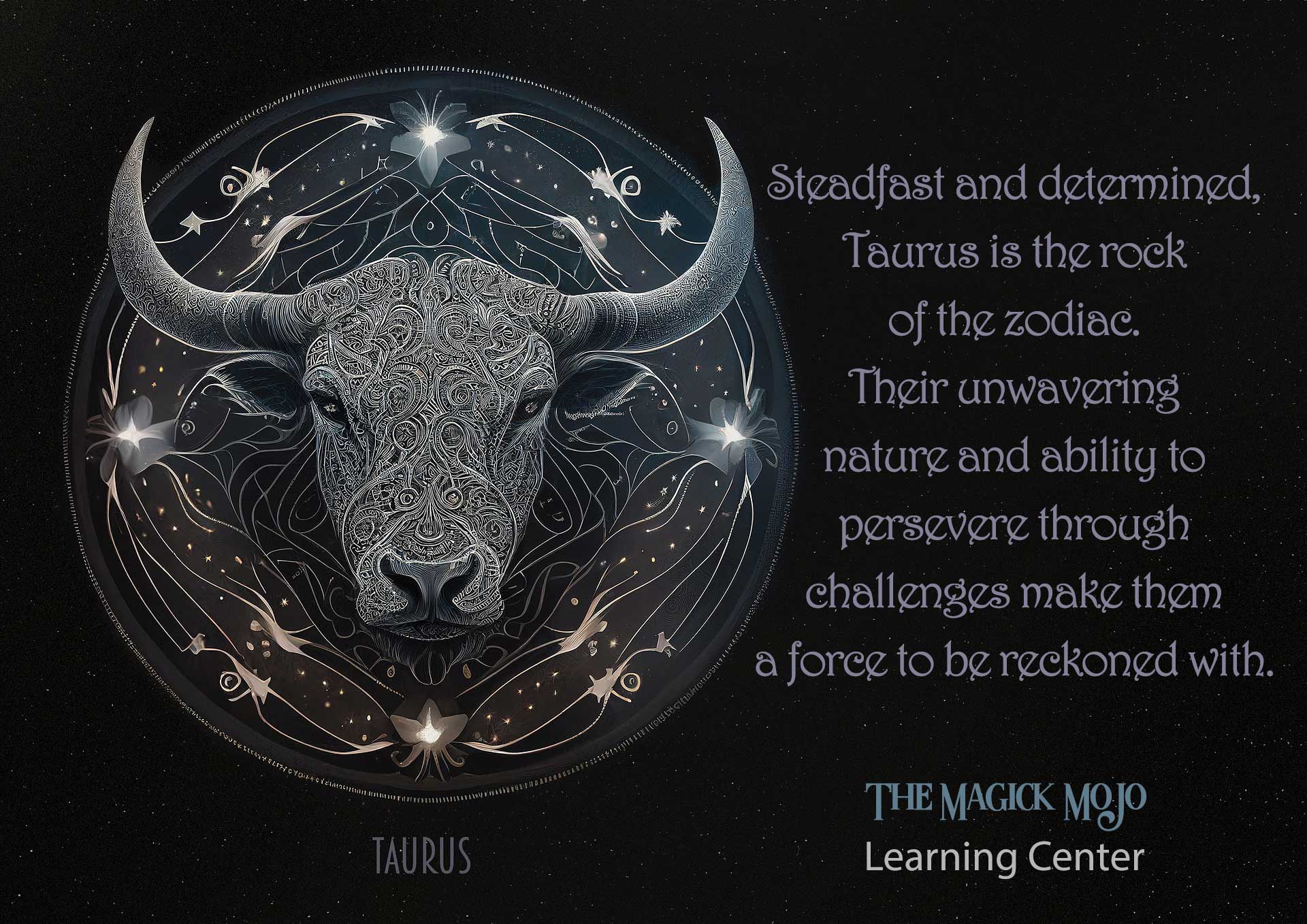 Apr 20 – May 20 | Taurus: The Bull’s Path