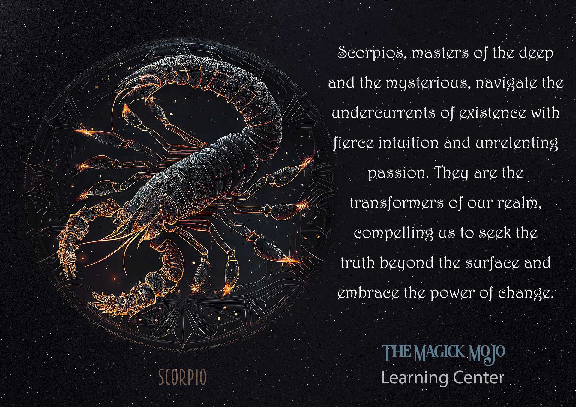 Oct 23 – Nov 21 | Scorpio: The Scorpion’s Path