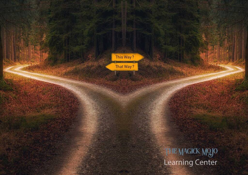 Image of a road diverging in the woods.