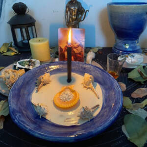 An arranged altar with a black candle, various seashells, and leaves for a mystical spell