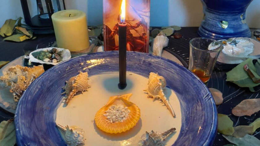 An arranged altar with a black candle, various seashells, and leaves for a mystical spell